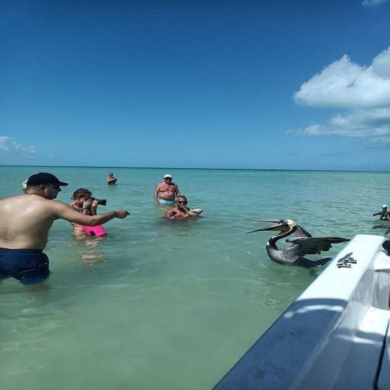 Picture 5 for Activity Holbox - fishing & Snorkel in Cabo Catoche
