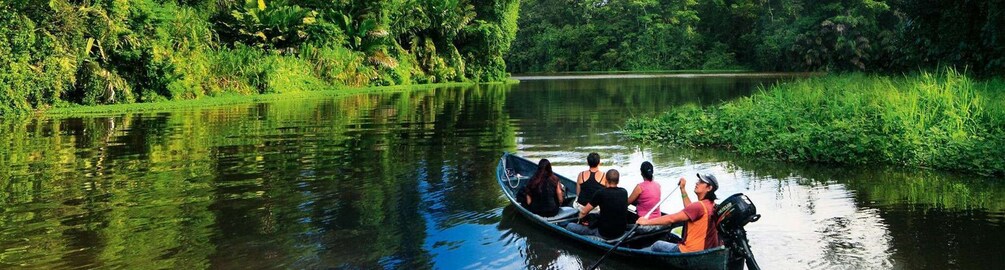 Picture 9 for Activity Tortuguero: canoe tour, night walk and tour on the hill