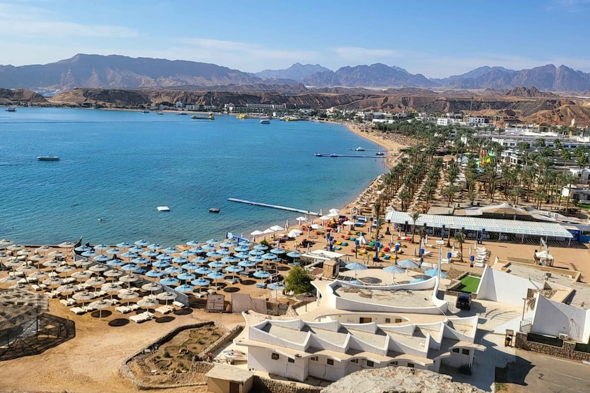 Picture 20 for Activity Sharm El Sheikh: Private City Tour with Seafood Dinner