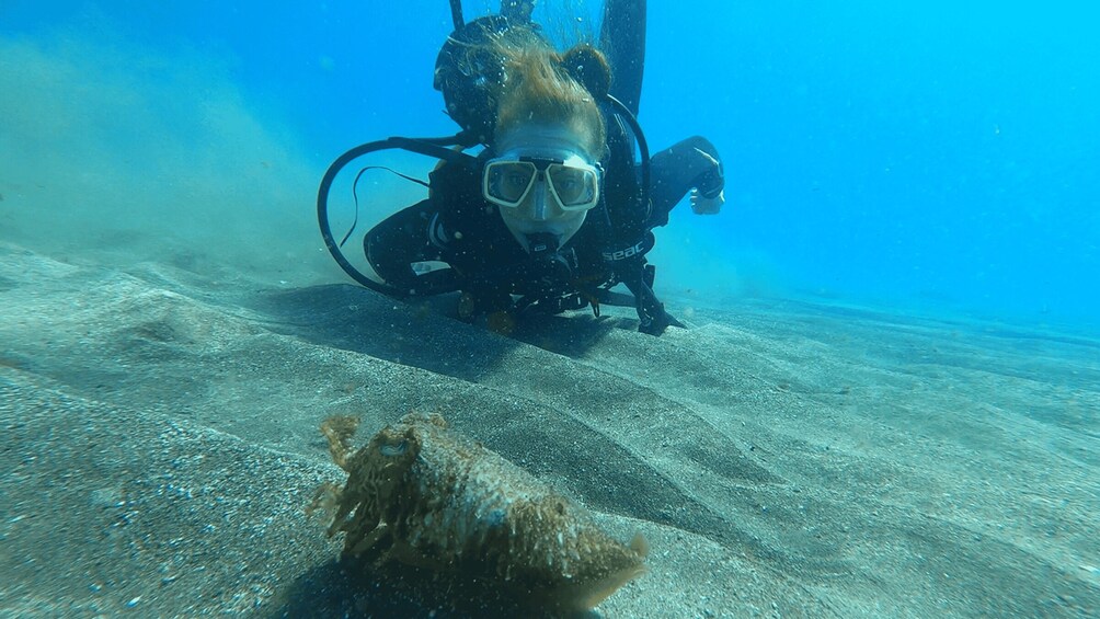 Picture 3 for Activity Tenerife: Scuba Diving Lesson and Abades Protected Area Dive