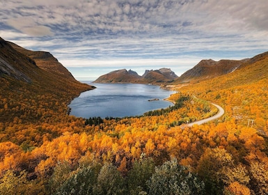 Senja Island: 4x4 Day Tour with Overlanding Senja