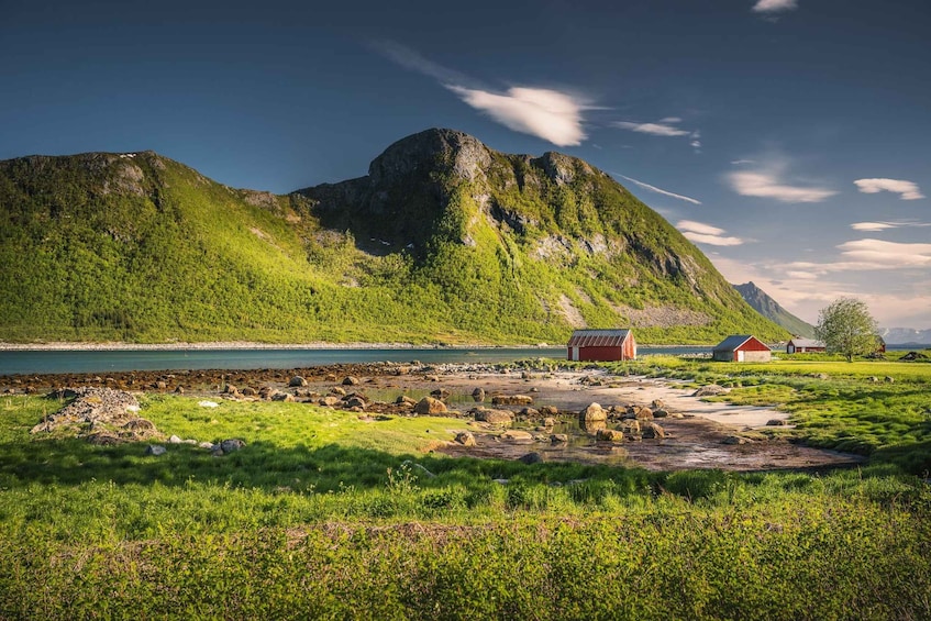Picture 1 for Activity Senja Island: 4x4 Day Tour with Overlanding Senja