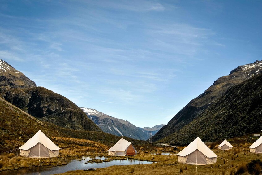 Picture 5 for Activity #1 Unforgettable Christchurch Glamping Accommodation