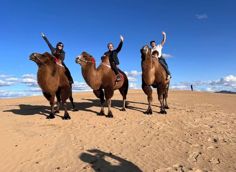 Semi Gobi with nomads and explore Khustai National Park