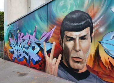 Mega Street Art, Mural, Graffiti Private Tour