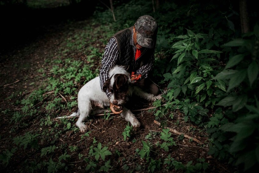 Picture 6 for Activity Piedmont: Private Truffle Hunting Tour with Truffle Tasting