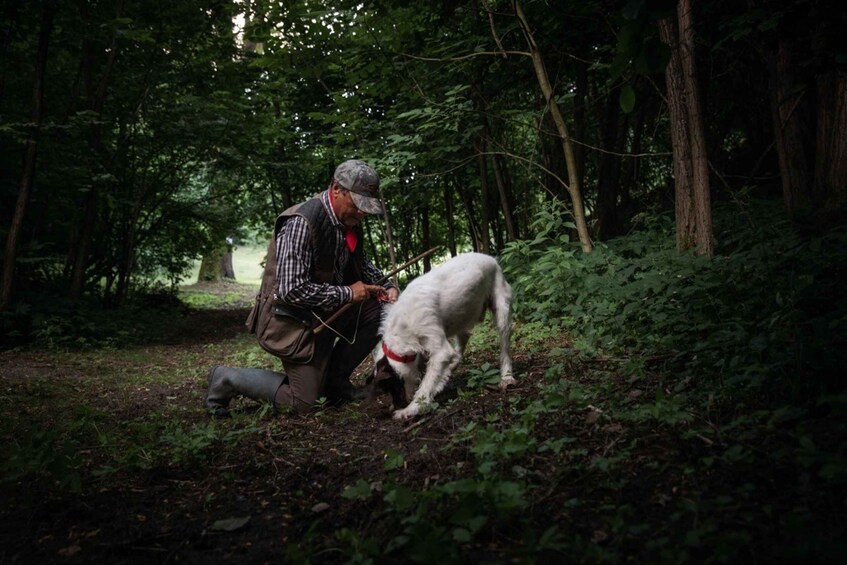 Piedmont: Private Truffle Hunting Tour with Truffle Tasting