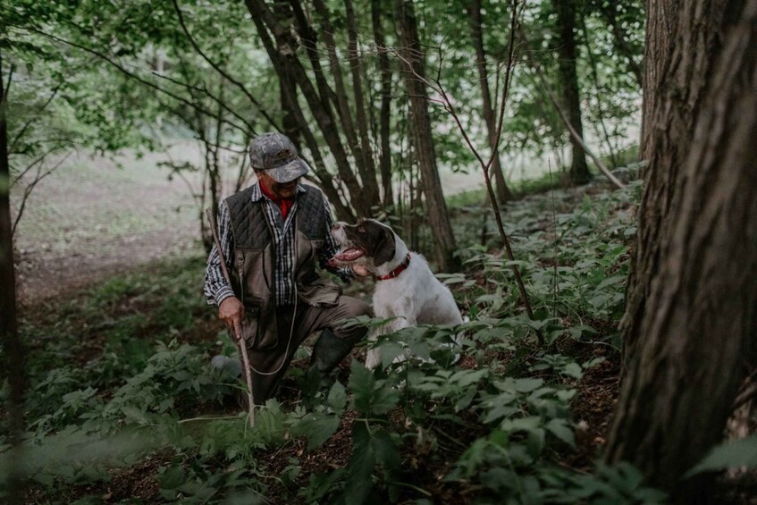 Picture 8 for Activity Piedmont: Private Truffle Hunting Tour with Truffle Tasting