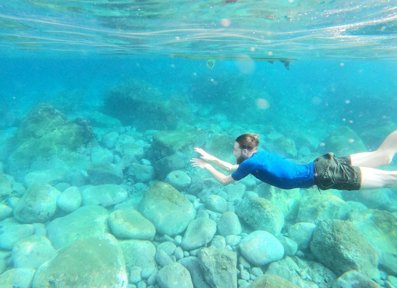 Picture 2 for Activity Câmara de Lobos: Private Guided Kayaking Tour in Madeira