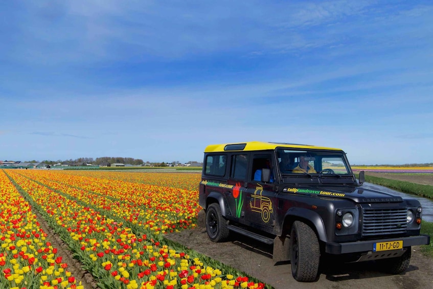 From Lisse: Landrover Tour Around Keukenhof & Flower Fields