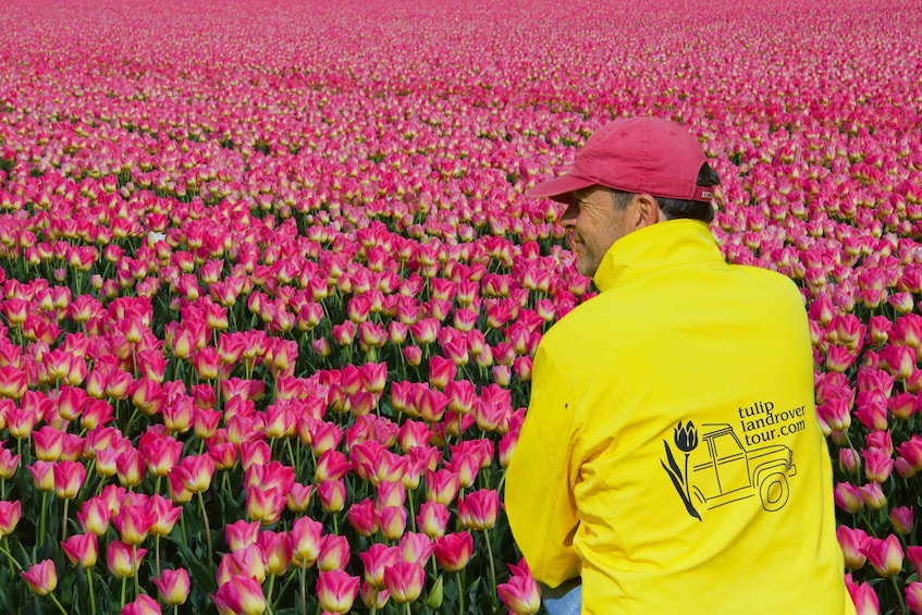 Picture 6 for Activity From Lisse: Landrover Tour Around Keukenhof & Flower Fields