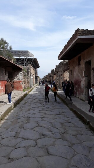 Picture 6 for Activity From Naples: Pompeii Private Half Day Tour