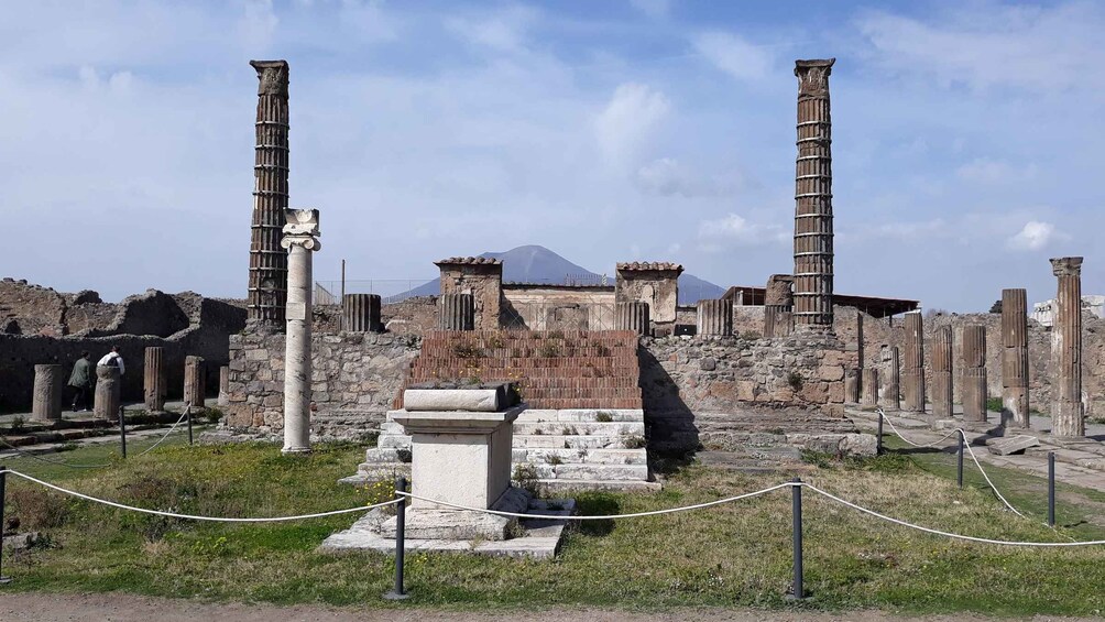 Picture 3 for Activity From Naples: Pompeii Private Half Day Tour