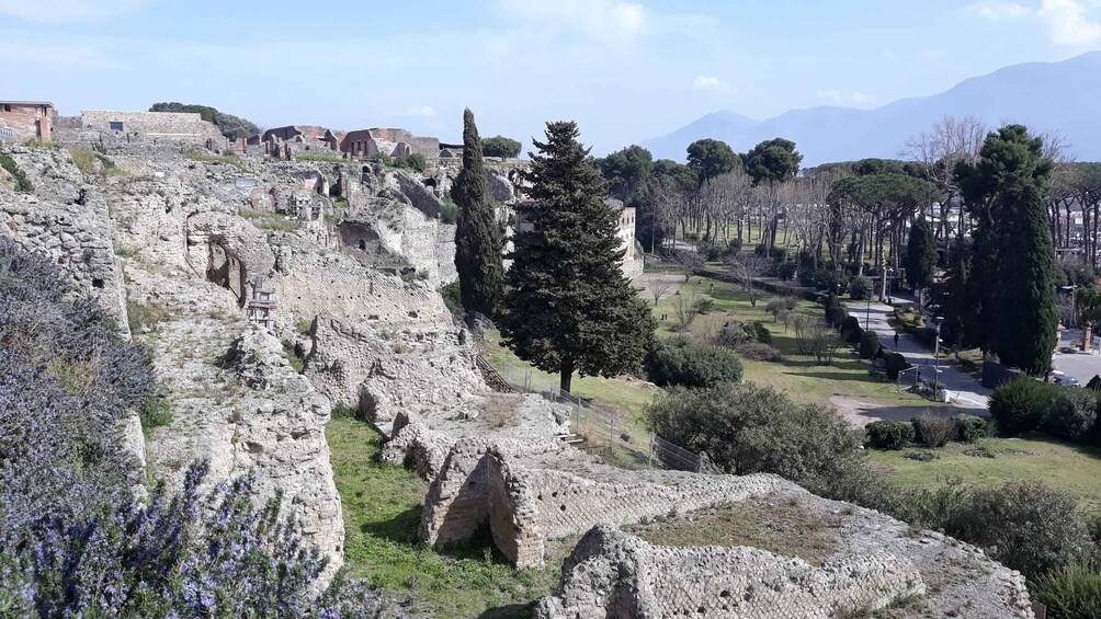 Picture 4 for Activity From Naples: Pompeii Private Half Day Tour