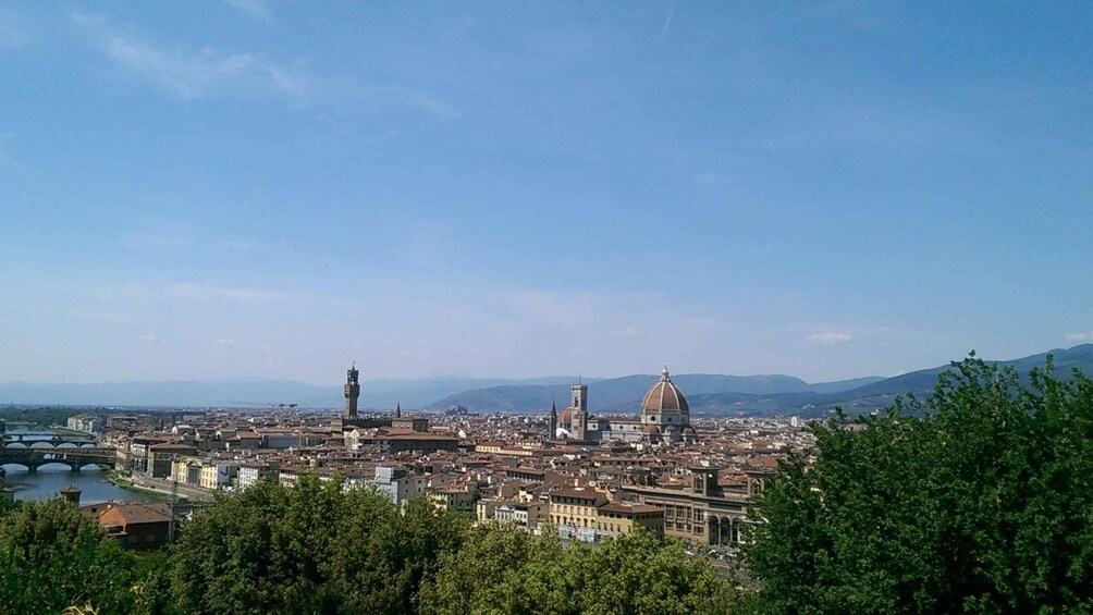 Florence: 4-Hour Private Tour Including Uffizi & Accademia