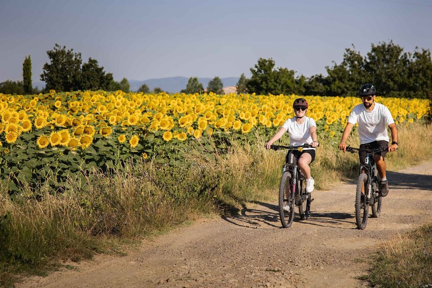 Picture 1 for Activity Castiglion Fiorentino: Tuscan Guided E-Bike Tour