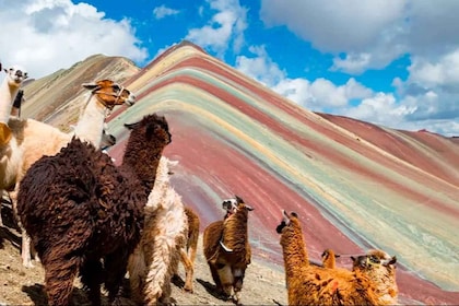 Cuscosta: Cusco: Rainbow Mountain 1-Day + Aamiainen ja lounas