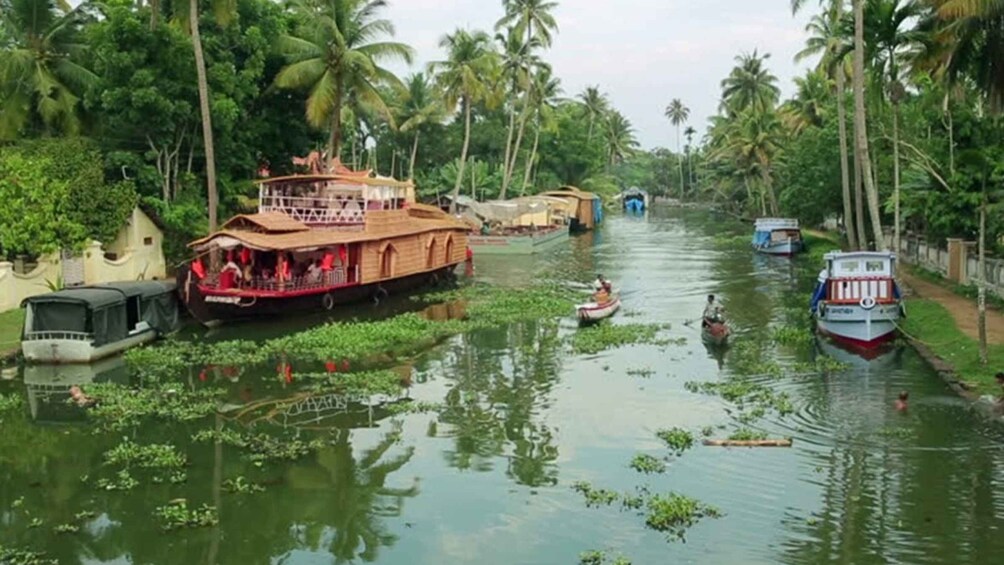 Picture 4 for Activity From Kochi: 7-Day Kerala Tour Package with Accommodation