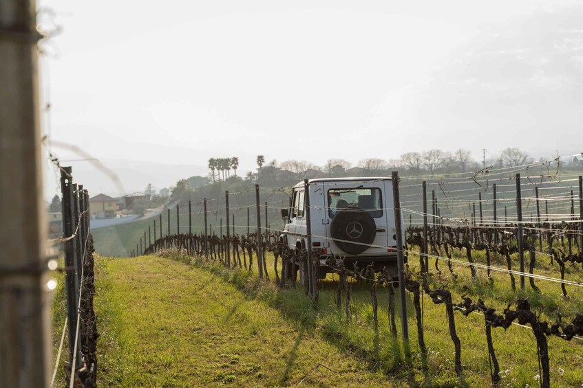 Picture 2 for Activity Abruzzo: Vineyard Jeep Tour with Tastings