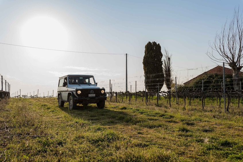 Picture 7 for Activity Abruzzo: Vineyard Jeep Tour with Tastings