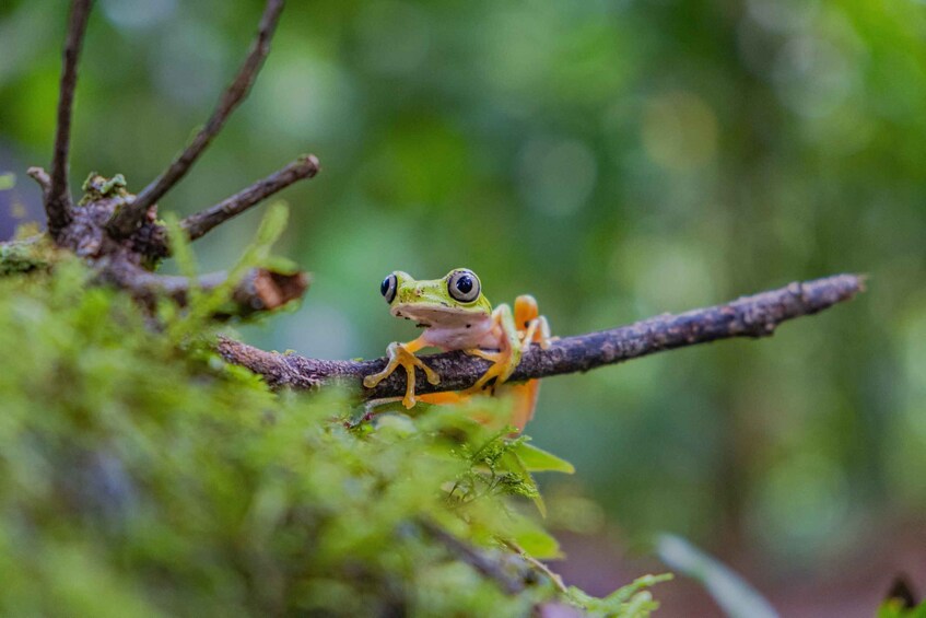 Picture 6 for Activity Natura Eco Park Admission: Wildlife Sanctuary