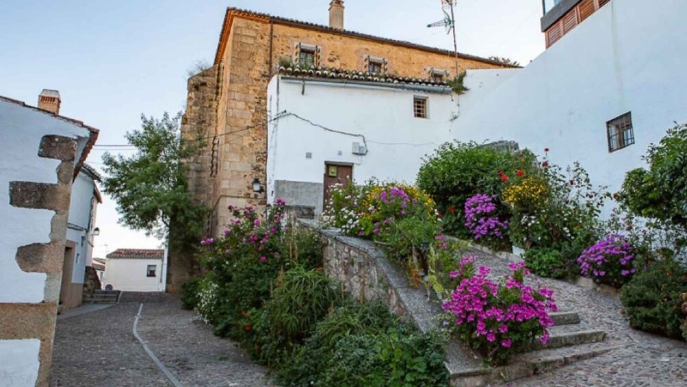 Picture 3 for Activity Caceres: Highlights, History and Jewish Quarter Walking Tour