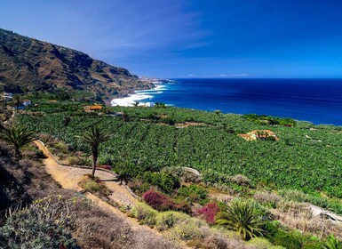 Tur Pribadi Tenerife: Wisata Sejarah di Utara Sehari Penuh