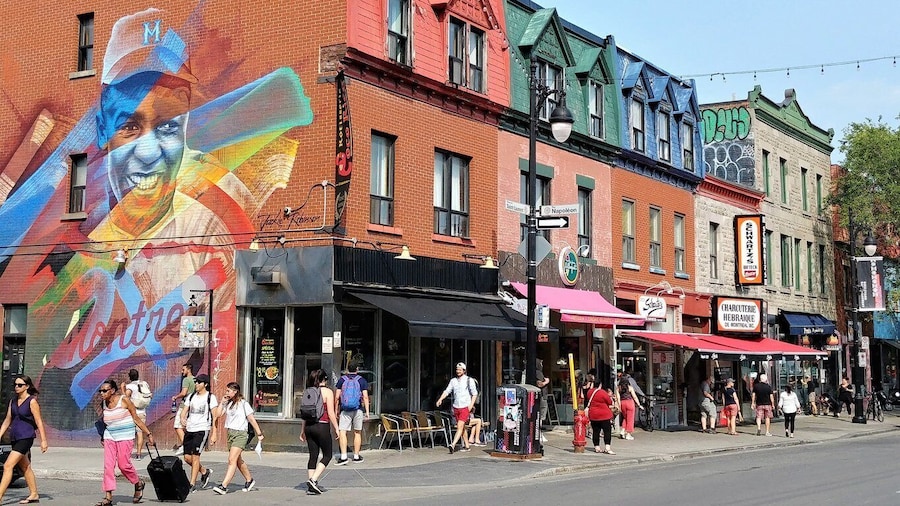 Montreal: Plateau Mont-Royal & Mile End Walking Tour
