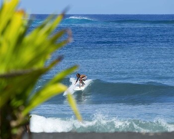 Tahiti: Private Half Day Culture and Nature Highlights Tour