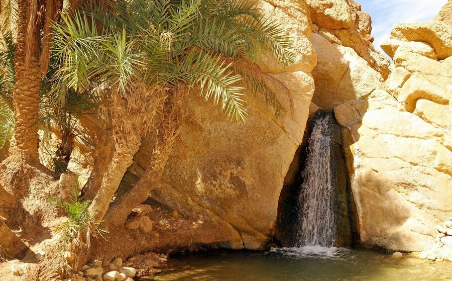 Picture 6 for Activity From Djerba: 2-Day Tour of Tozeur and Mountain Oasis