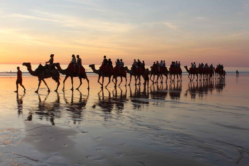 Picture 2 for Activity Taghazout: Moroccan Barbecue and Camel Ride Tour