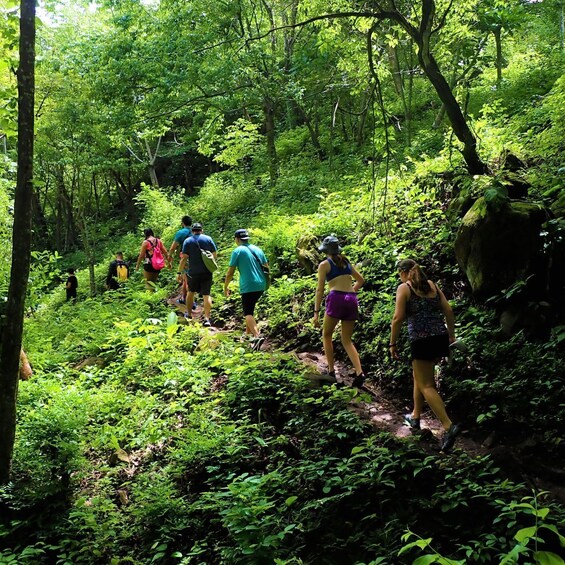 Picture 6 for Activity Rincon de la Vieja: La Leona Waterfall Adventure Hike