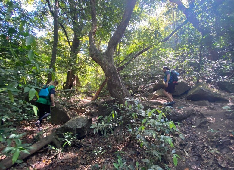 Picture 6 for Activity Curubande: Private La Leona Waterfall Adventure Hike