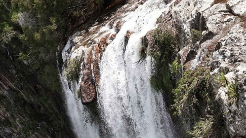 Byron Bay: Minyon Falls - Explore the Rainforest