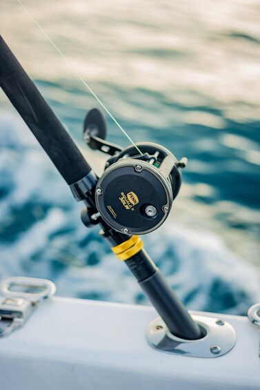 Picture 5 for Activity Costa Rica: Private Guided Sport Fishing Experience