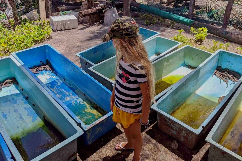 Picture 4 for Activity 4-in-1 Tour - Mazunte, Cacao Factory & Turtle Spawn/Release
