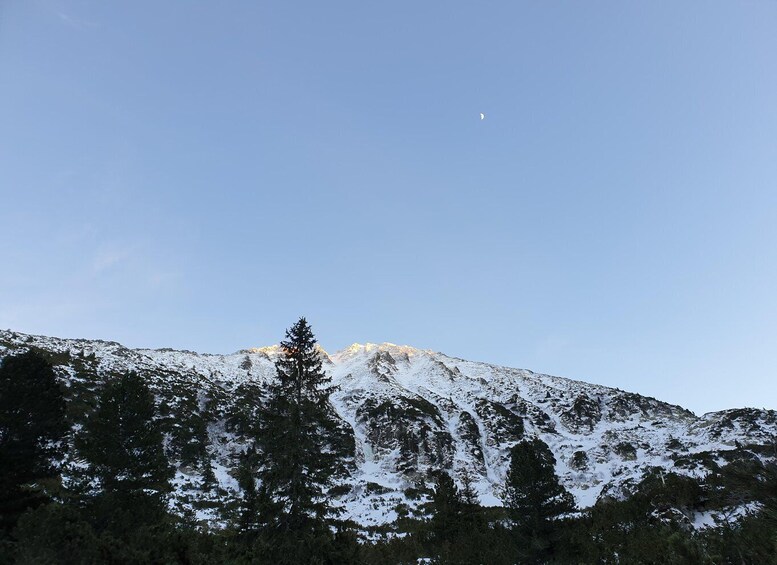 Picture 5 for Activity Timisoara Dream Tours: Let's Go Hiking in Retezat Mountains