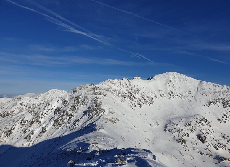 Picture 2 for Activity Timisoara Dream Tours: Let's Go Hiking in Retezat Mountains