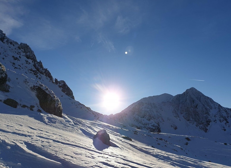 Picture 3 for Activity Timisoara Dream Tours: Let's Go Hiking in Retezat Mountains