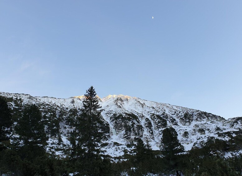 Picture 5 for Activity Timisoara Dream Tours: Let's Go Hiking in Retezat Mountains