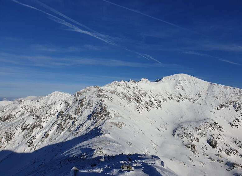 Picture 2 for Activity Timisoara Dream Tours: Let's Go Hiking in Retezat Mountains