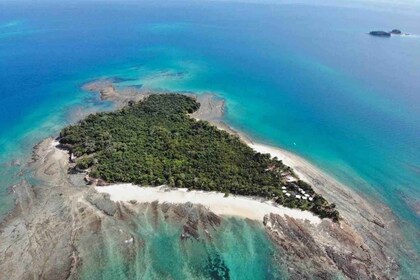 From Panama City: Beach Day in Las Perlas Island Resort