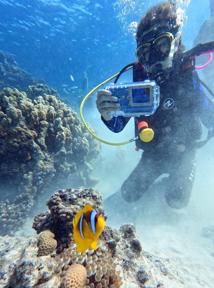 Picture 2 for Activity Scuba Diving Experience in Porto Cesareo