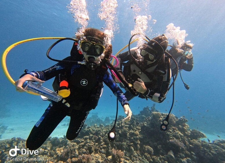 Picture 1 for Activity Scuba Diving Experience in Porto Cesareo