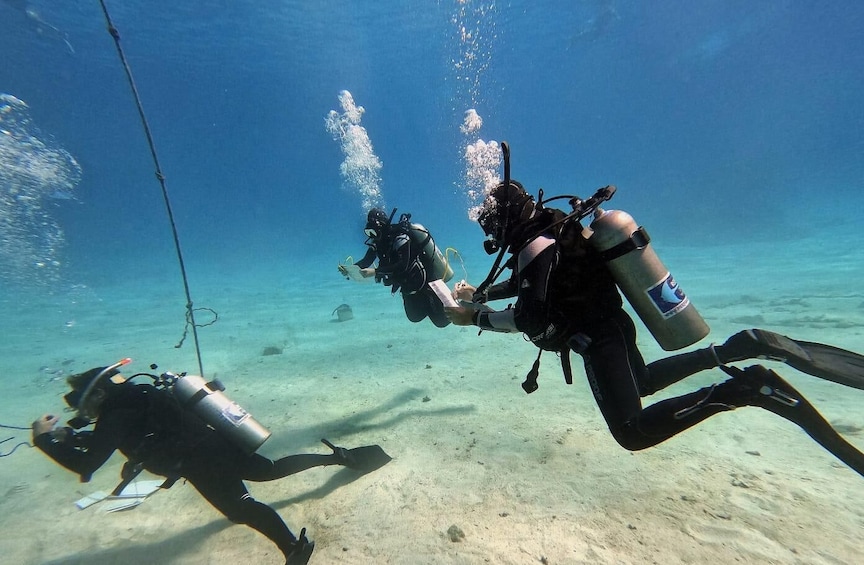 Picture 3 for Activity Scuba Diving Experience in Porto Cesareo