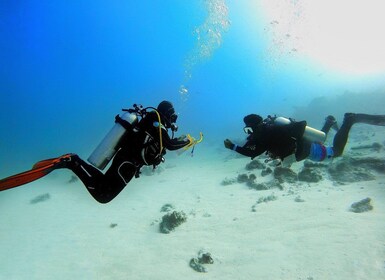 Scuba Diving Experience in Porto Cesareo