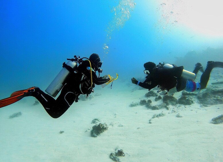 Scuba Diving Experience in Porto Cesareo