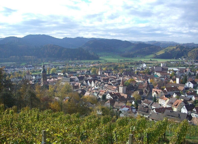 Picture 4 for Activity Gengenbach: Private Guided Walking Tour