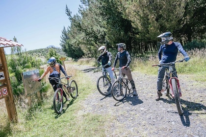 Cotopaxi by bike