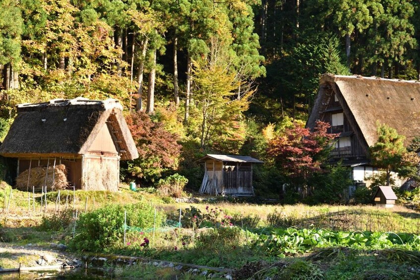 Picture 4 for Activity Shirakawa-go Audio Guide: Traditional Village of Japan